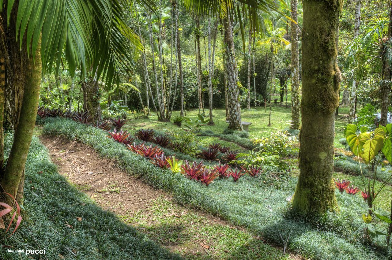Estación Biológica Cruces Y Jardín Botánico Wilson * San Vito
