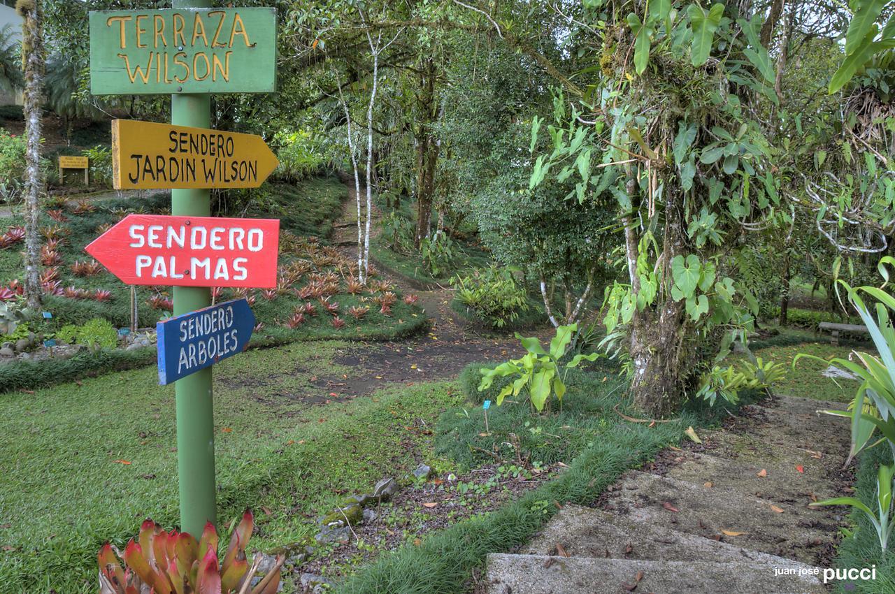 Estación Biológica Cruces Y Jardín Botánico Wilson * San Vito